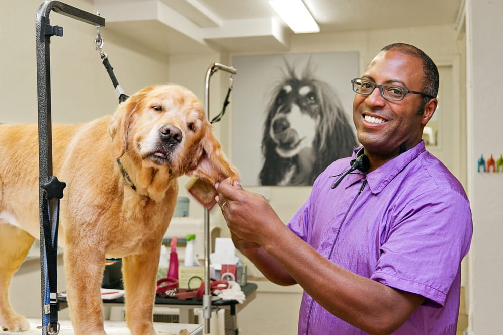Russian Hill Dog Grooming